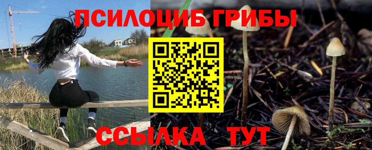 Хабаровск  Псилоцибиновые грибы MAGIC MUSHROOMS  Вход с VPN 